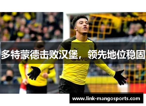 多特蒙德击败汉堡，领先地位稳固