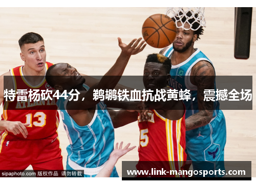 特雷杨砍44分，鹈鹕铁血抗战黄蜂，震撼全场