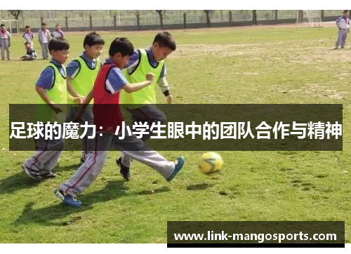 足球的魔力：小学生眼中的团队合作与精神