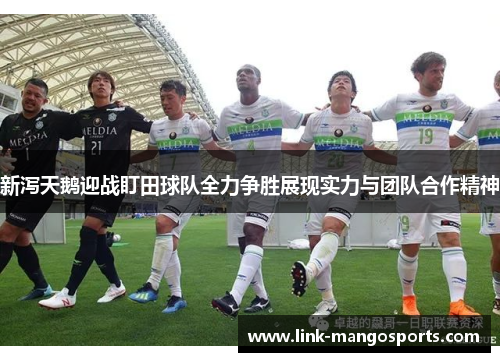 新泻天鹅迎战盯田球队全力争胜展现实力与团队合作精神