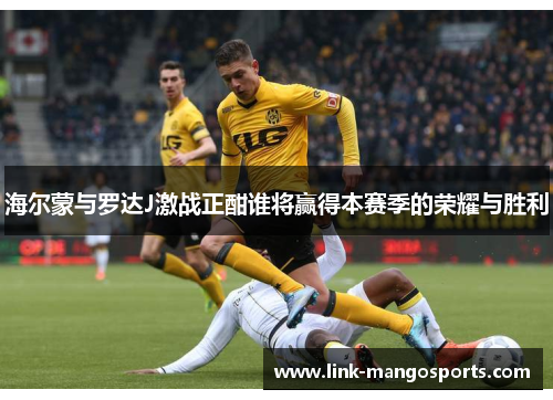 海尔蒙与罗达J激战正酣谁将赢得本赛季的荣耀与胜利