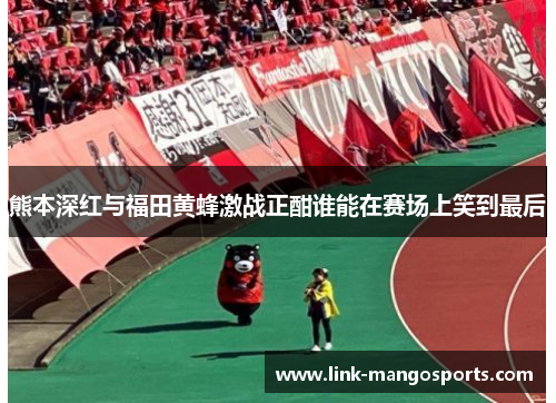 熊本深红与福田黄蜂激战正酣谁能在赛场上笑到最后